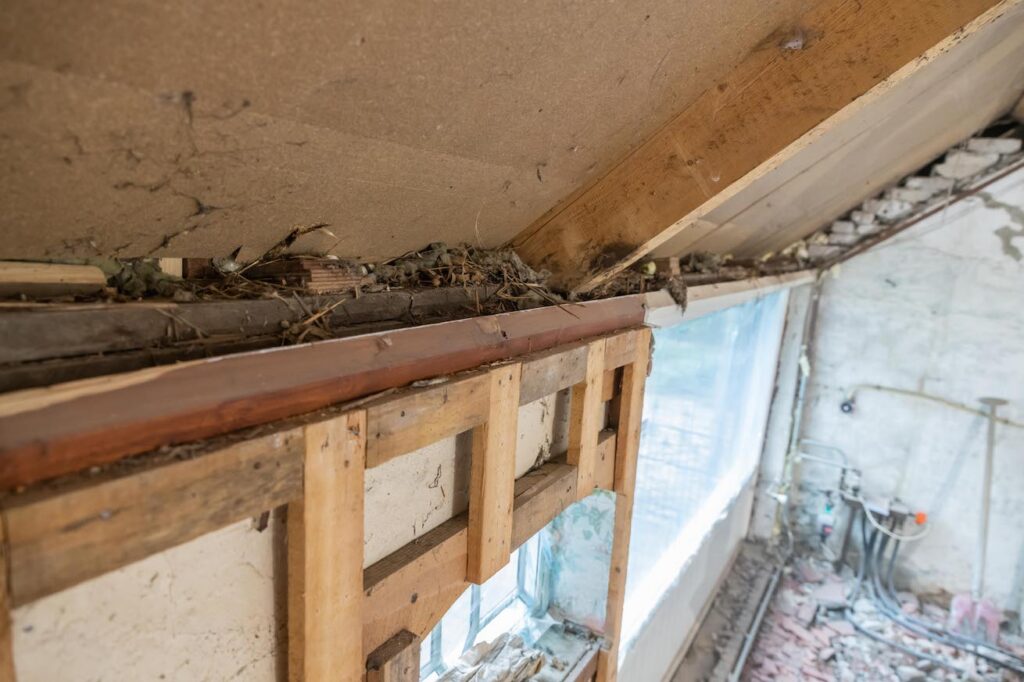 Renovatie van een boerderij in Nijkerkerveen — beeld 1